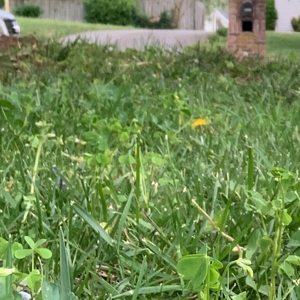 🌟✨GRAPHIC TEE MYSTERY BOX!⭐️🌞